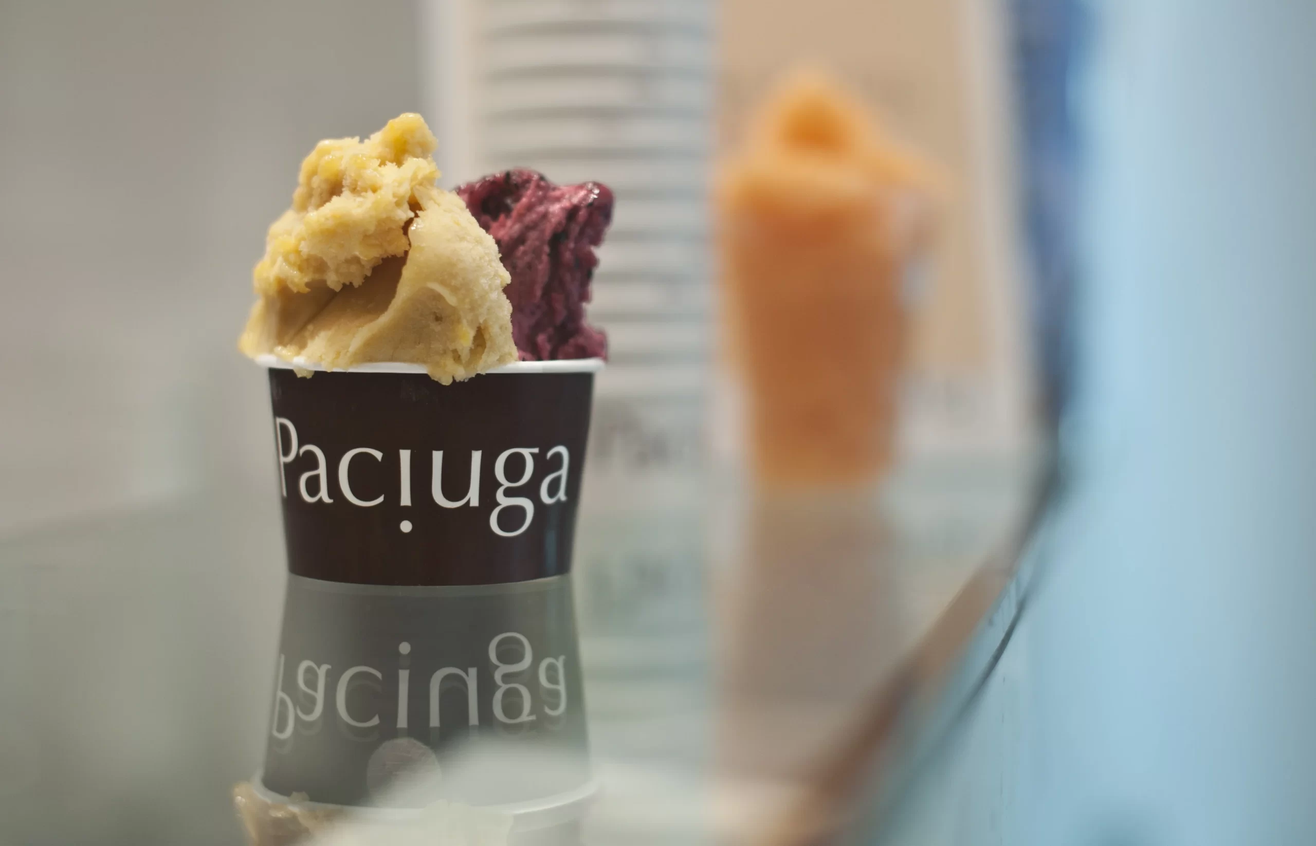 paciuga-gelateria-seppia4