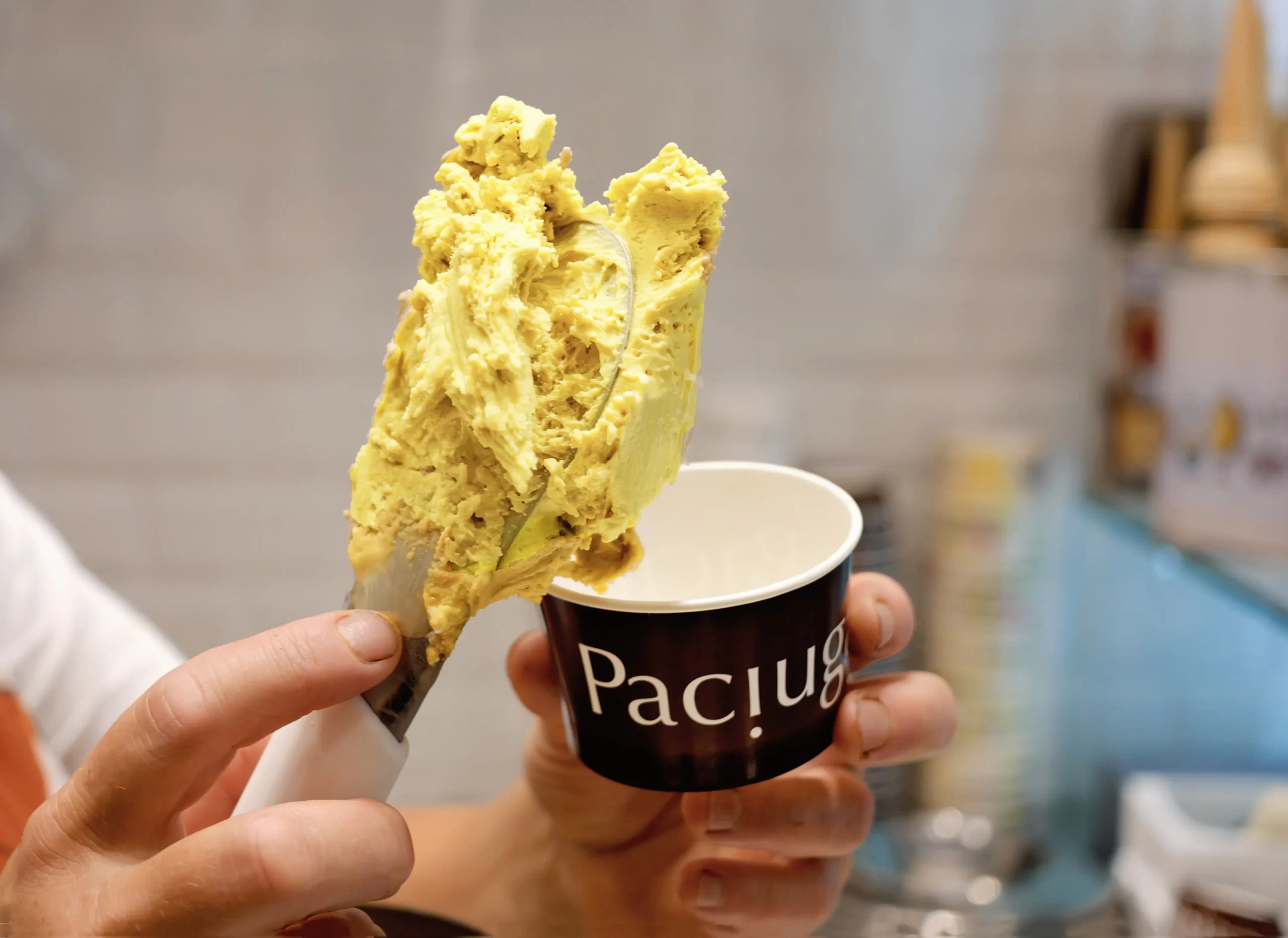 paciuga-gelateria-seppia6